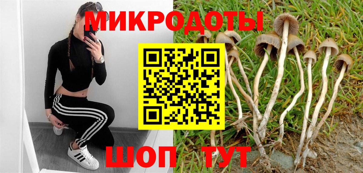 купить наркоту  Псилоцибиновые грибы Magic Shrooms  Вход с VPN  Кольчугино 