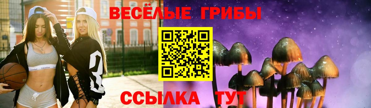Галлюциногенные грибы GOLDEN TEACHER Кольчугино